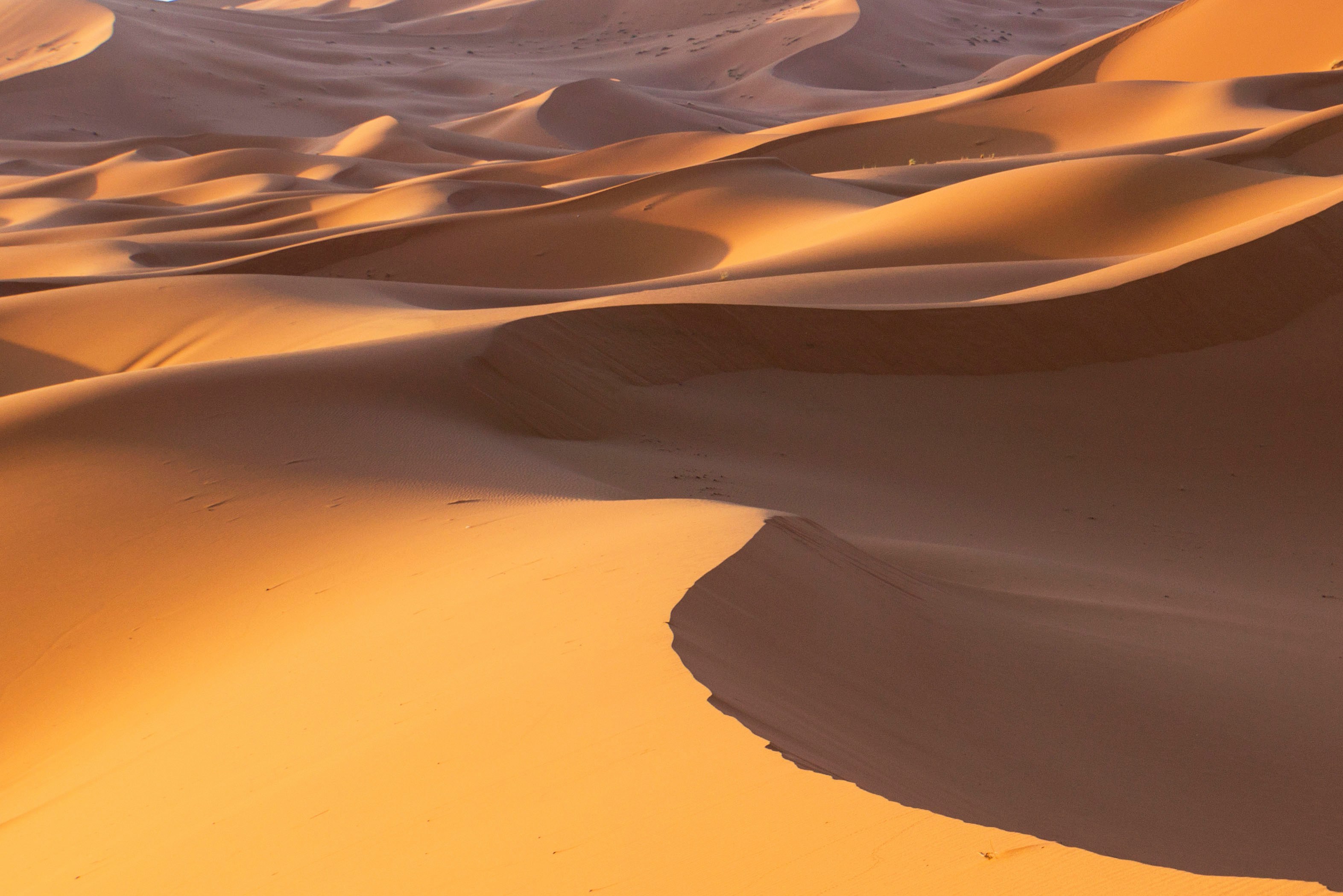 University background